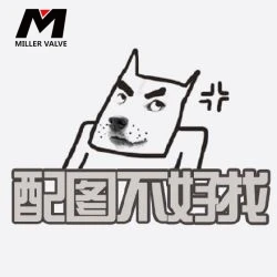 進口恒溫閥控制器