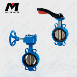 進(jìn)口對夾軟密封蝶閥