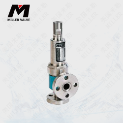 進(jìn)口彈簧封閉式高壓安全閥