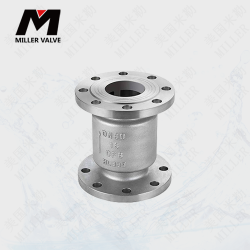 進口立式止回閥