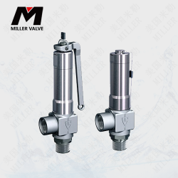 進(jìn)口氫氣安全閥