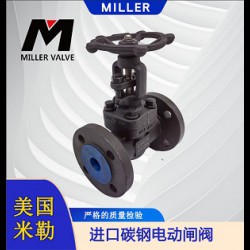 進口碳鋼電動閘閥