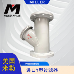 進(jìn)口Y型過(guò)濾器