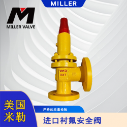 進(jìn)口襯氟安全閥