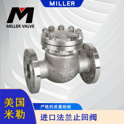 進口法蘭止回閥