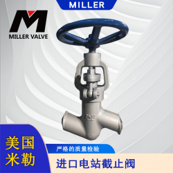 進(jìn)口電站截止閥