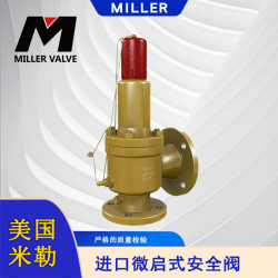 進(jìn)口微啟式安全閥