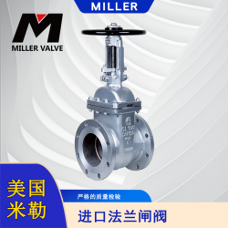 進(jìn)口法蘭閘閥