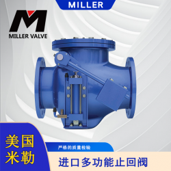 進口多功能止回閥