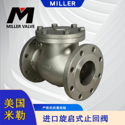 進口旋啟式止回閥