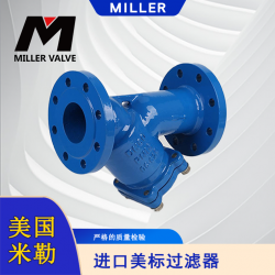 進(jìn)口美標(biāo)過(guò)濾器