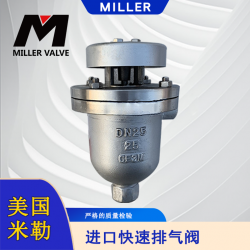 進(jìn)口快速排氣閥