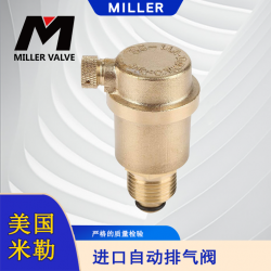 進(jìn)口自動(dòng)排氣閥