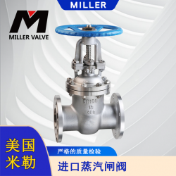 進口蒸汽閘閥
