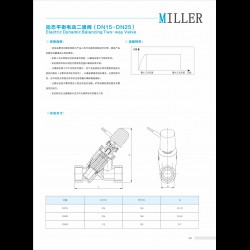 進(jìn)口動(dòng)態(tài)平衡電動(dòng)二通閥
