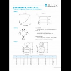 進口動態(tài)平衡電動調(diào)節(jié)閥DN15