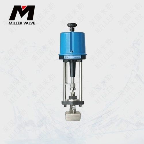 進(jìn)口電動小流量調(diào)節(jié)閥