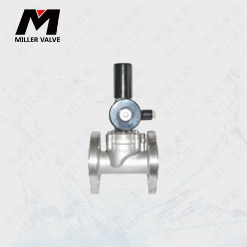 進(jìn)口燃?xì)馇袛嚯姶砰y