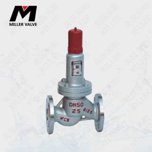 進口安全回流閥