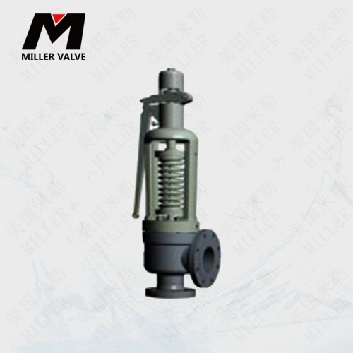 進口蒸汽安全閥