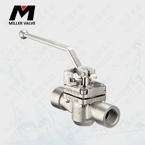 進(jìn)口二通旋塞閥