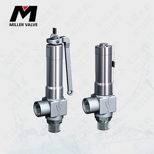 進(jìn)口安全閥