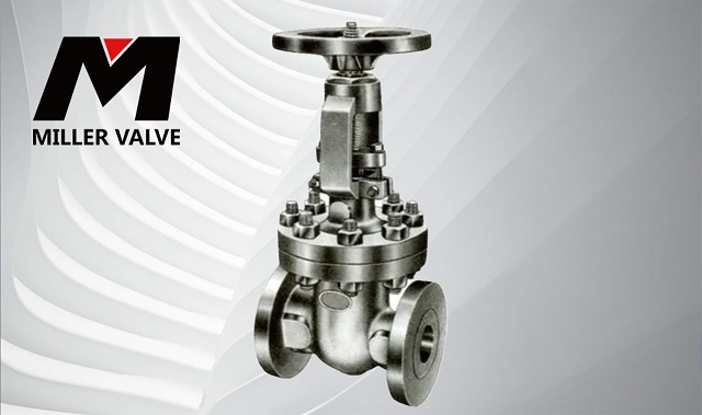 進(jìn)口美標(biāo)閘閥