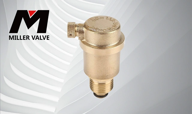 進(jìn)口自動(dòng)排氣閥