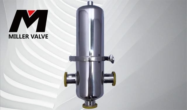 進(jìn)口蒸汽過濾器