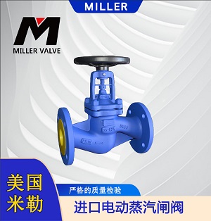 進(jìn)口電動(dòng)蒸汽閘閥