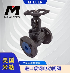 進(jìn)口碳鋼電動(dòng)閘閥