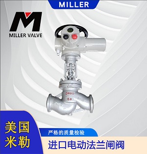 進(jìn)口電動法蘭閘閥