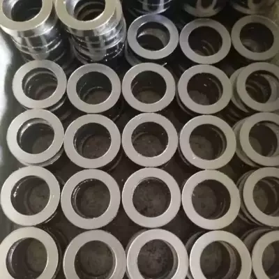 進(jìn)口閘閥的填料（Packing）