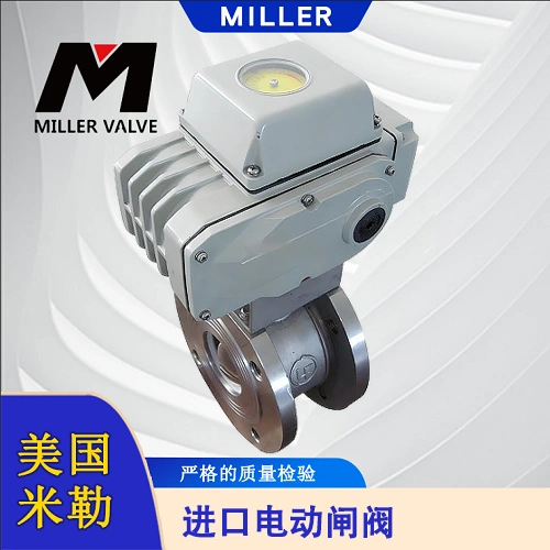 進(jìn)口電動(dòng)閘閥